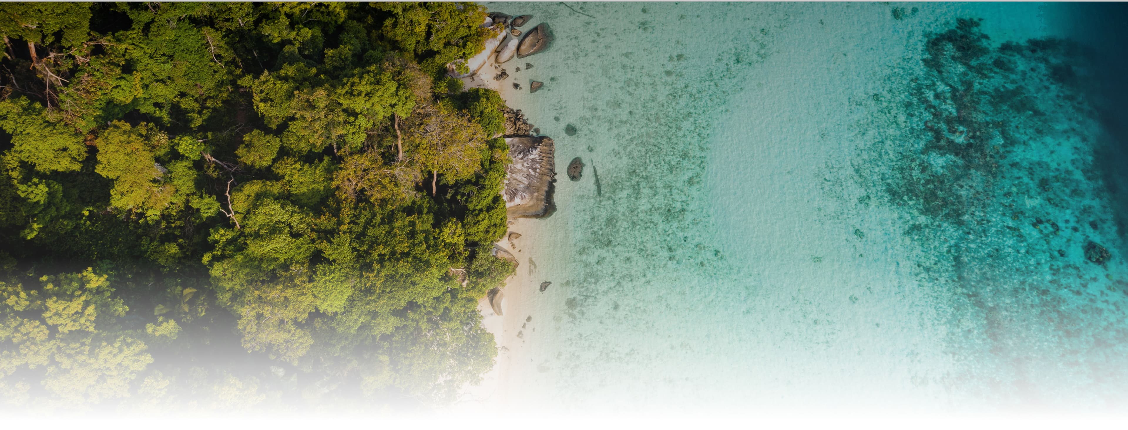 Island Speed Ferrybackground